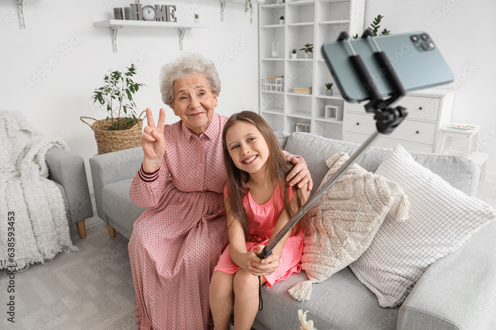 Little girl with her grandmother taking selfie at home