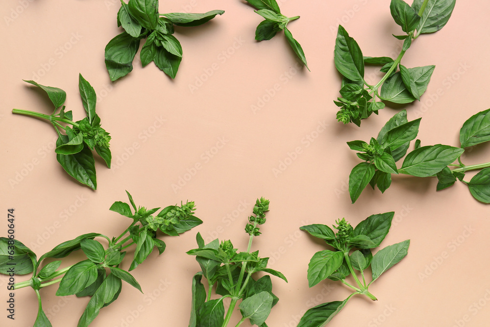 Frame made of fresh aromatic basil on color background