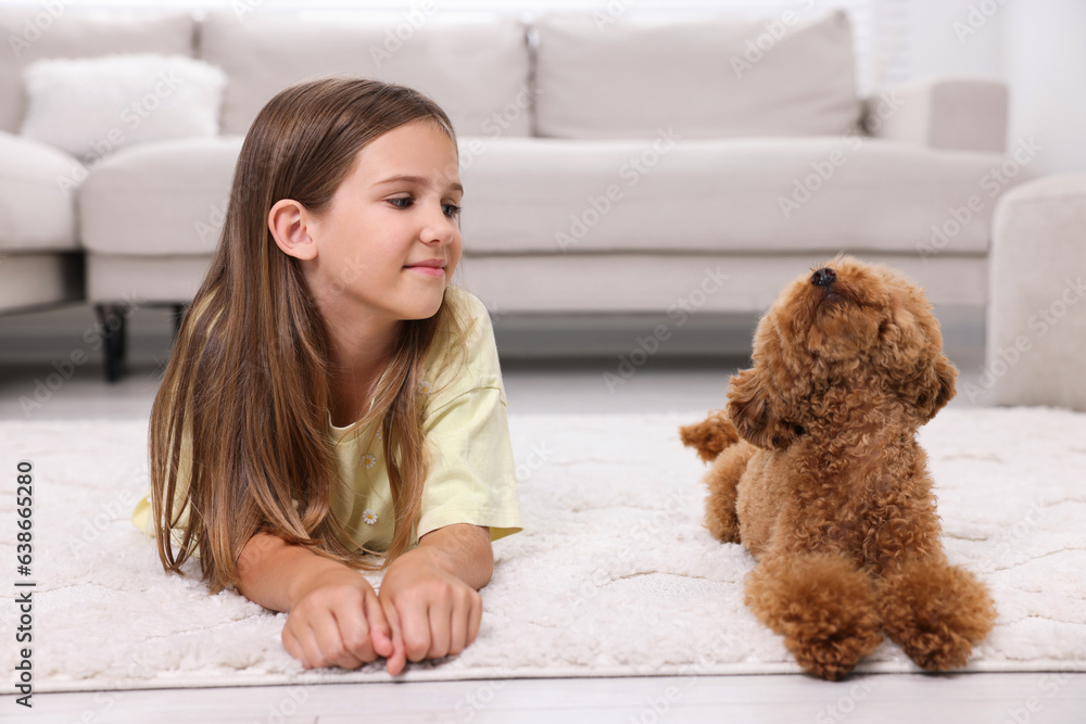 Little child and cute puppy on carpet at home. Lovely pet