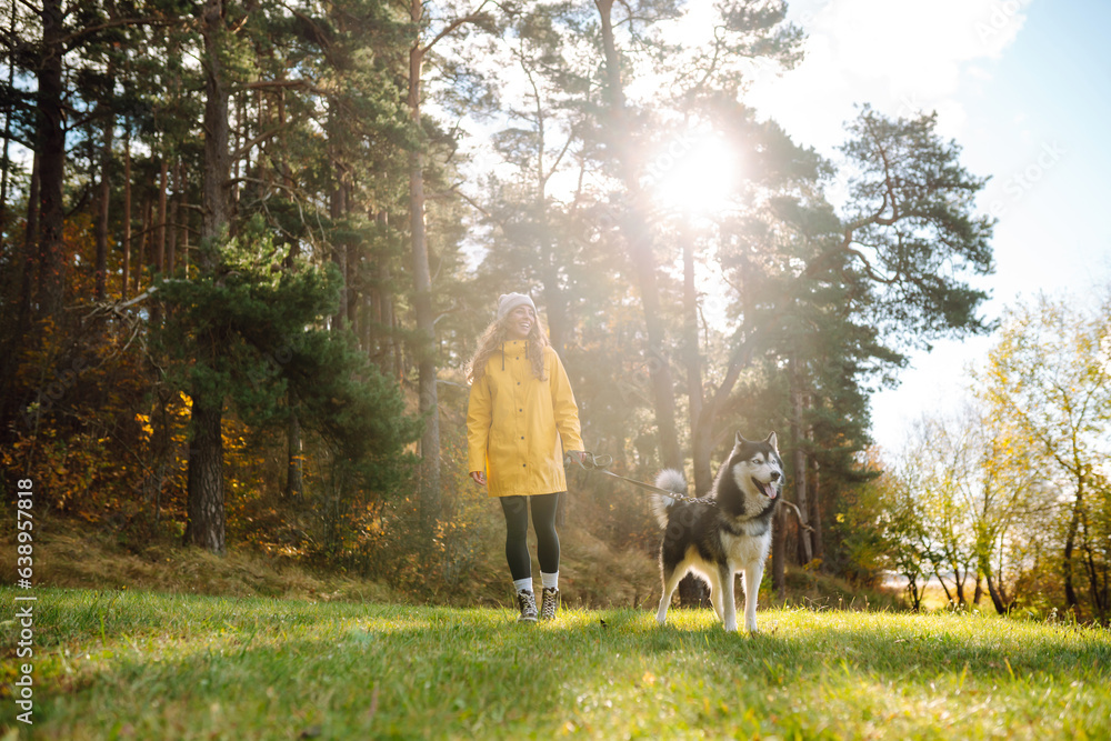 Beautiful young woman in a hat and yellow coat walks with her husky on the lawn in the park. Happy f