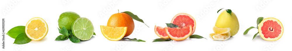 Set of different fresh citrus fruits isolated on white