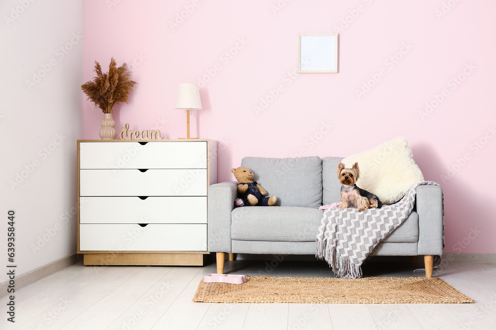 Cute small Yorkshire terrier dog sitting on sofa in room