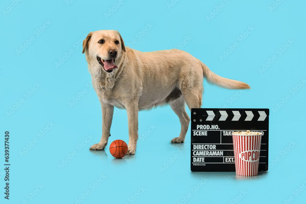 Cute Labrador dog with bucket of popcorn, toy ball and clapperboard on blue background