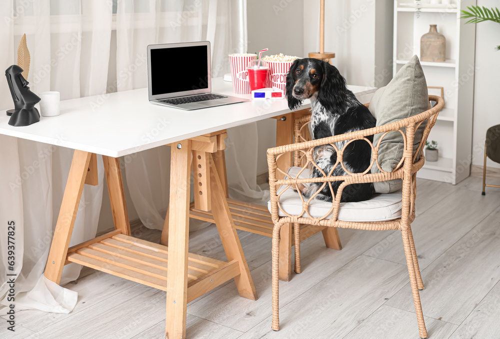 Cute cocker spaniel dog with buckets of popcorn, laptop and 3D cinema glasses sitting on chair at ta