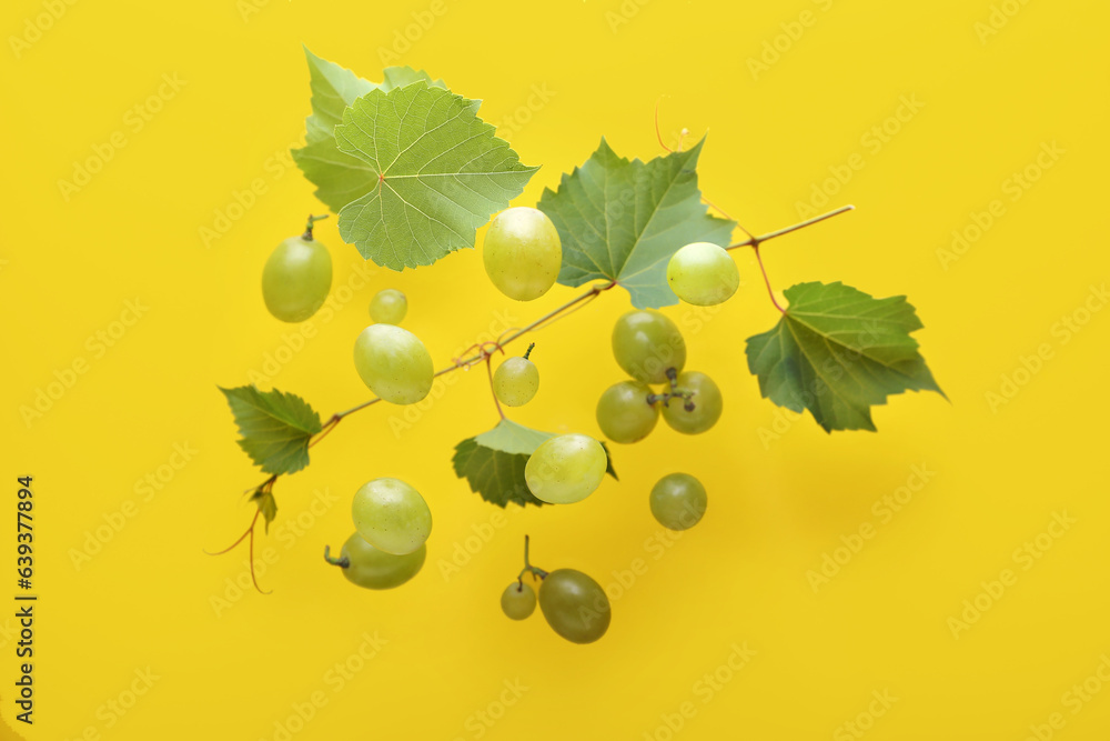 Flying sweet green grapes with leaves on yellow background