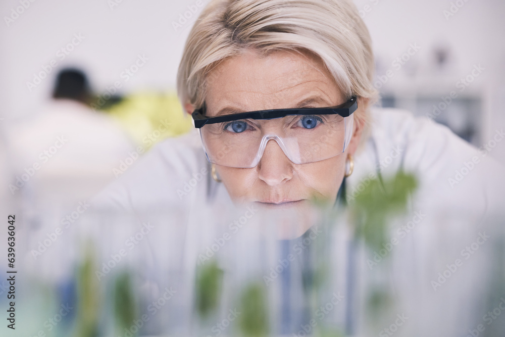 Science, plants and woman checking test tube in laboratory, research and thinking with nature. Biote