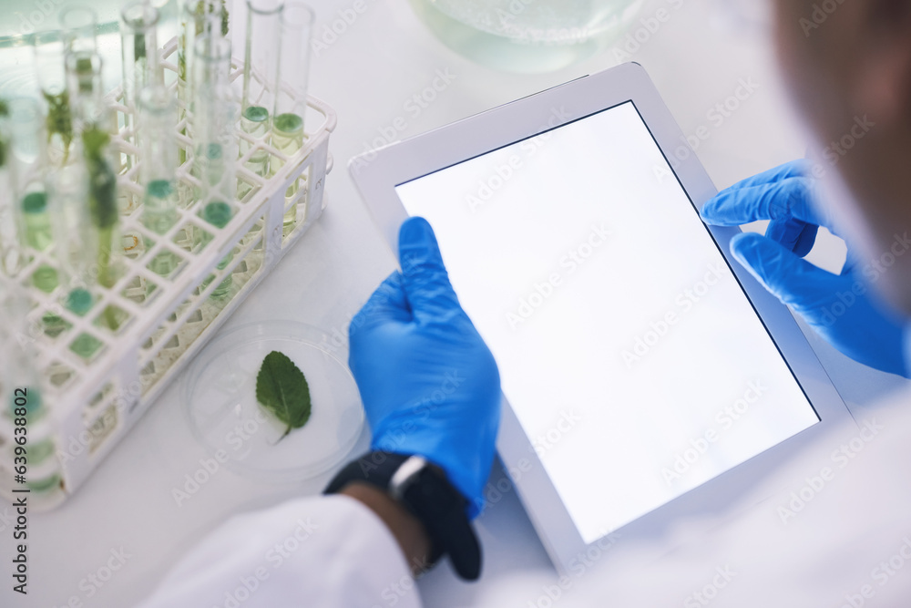 Scientist, plants and mockup on tablet screen in laboratory for data analysis, eco research or susta