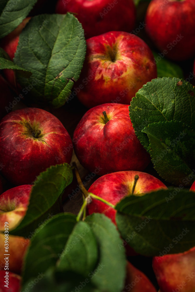 Freshly harvested red apples the wooden table. Selective focus. Shallow depth of field.