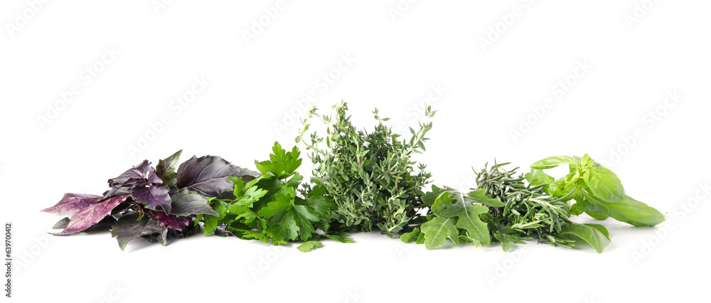 Different fresh herbs isolated on white background