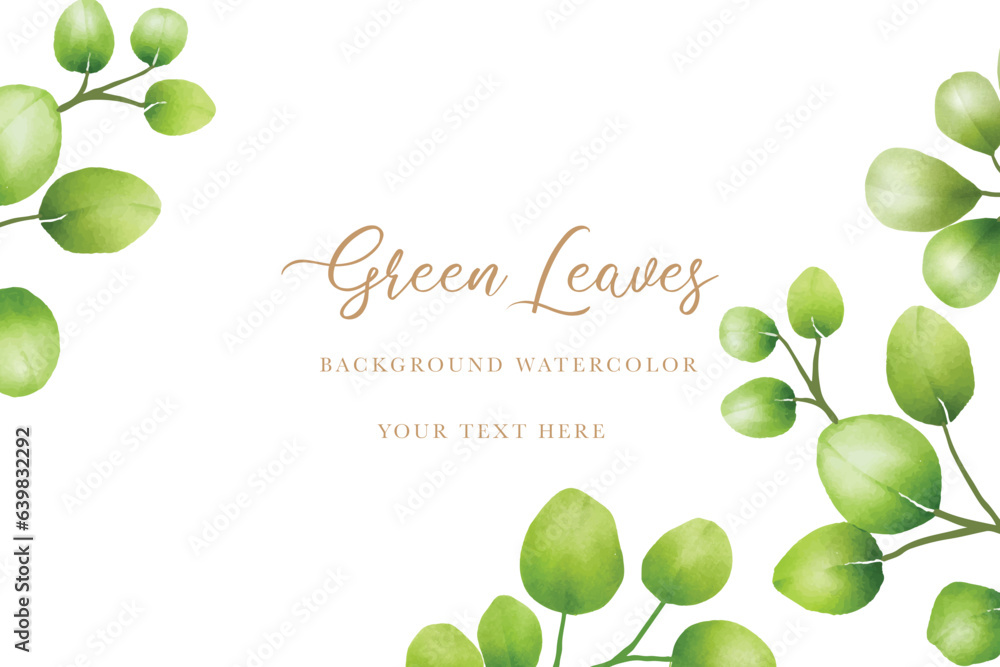 watercolor green leaves eucalyptus background 