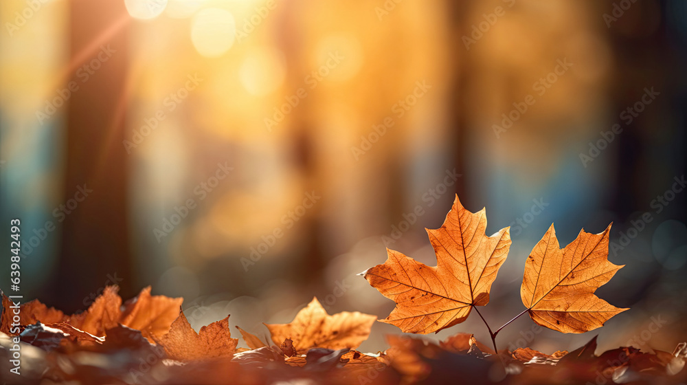 Autumn leaves on the sun and blurred trees for fall background. Generative Ai