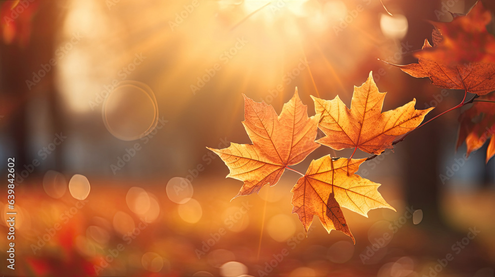 Autumn leaves on the sun and blurred trees for fall background. Generative Ai