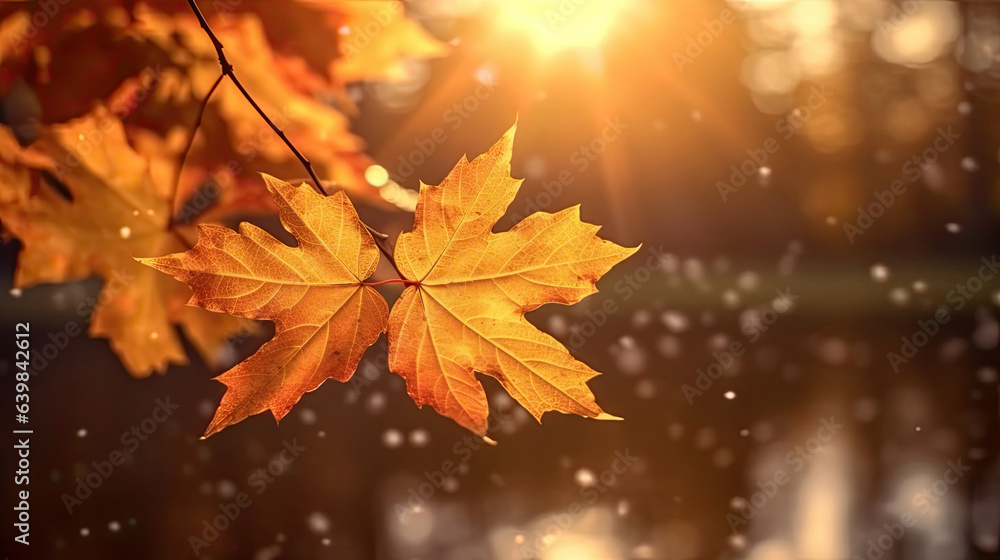 Autumn leaves on the sun and blurred trees for fall background. Generative Ai