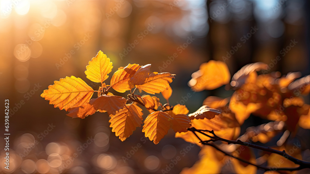 Autumn leaves on the sun and blurred trees for fall background. Generative Ai