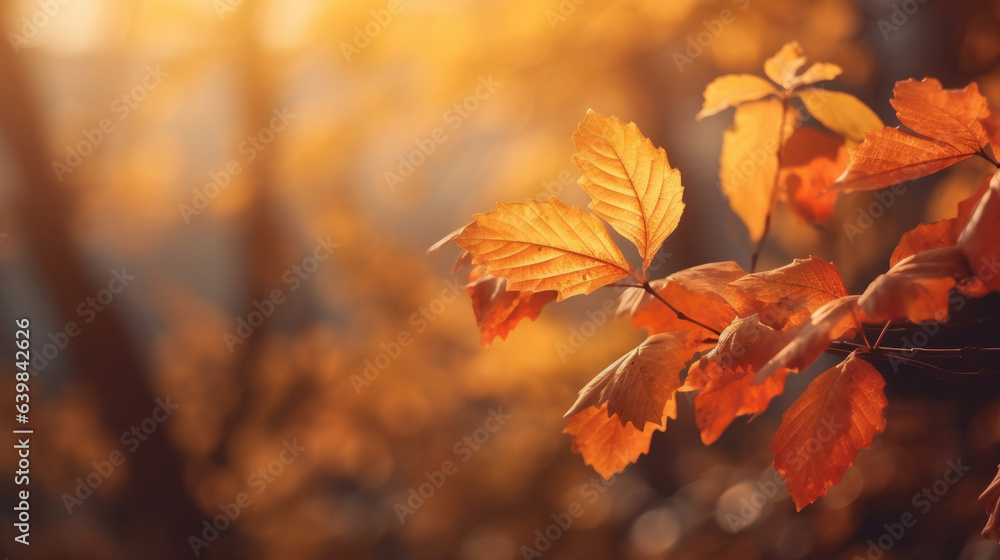 Autumn leaves on the sun and blurred trees for fall background. Generative Ai