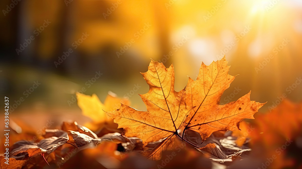 Autumn leaves on the sun and blurred trees for fall background. Generative Ai