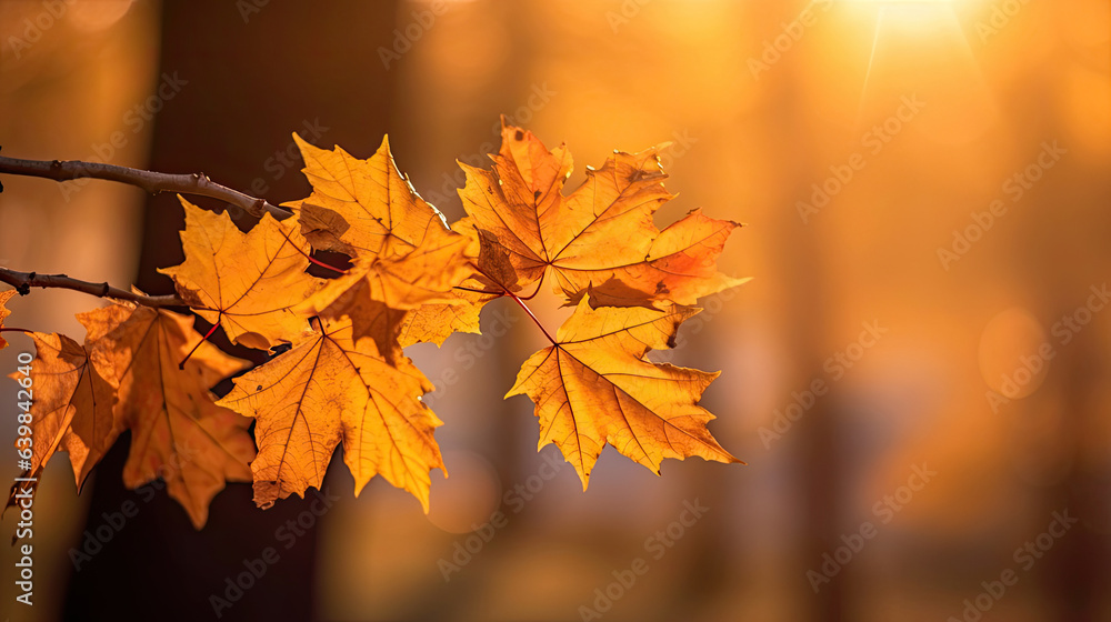 Autumn leaves on the sun and blurred trees for fall background. Generative Ai