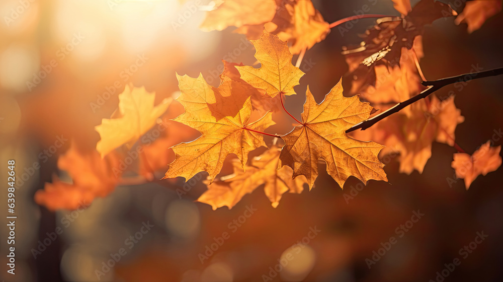 Autumn leaves on the sun and blurred trees for fall background. Generative Ai