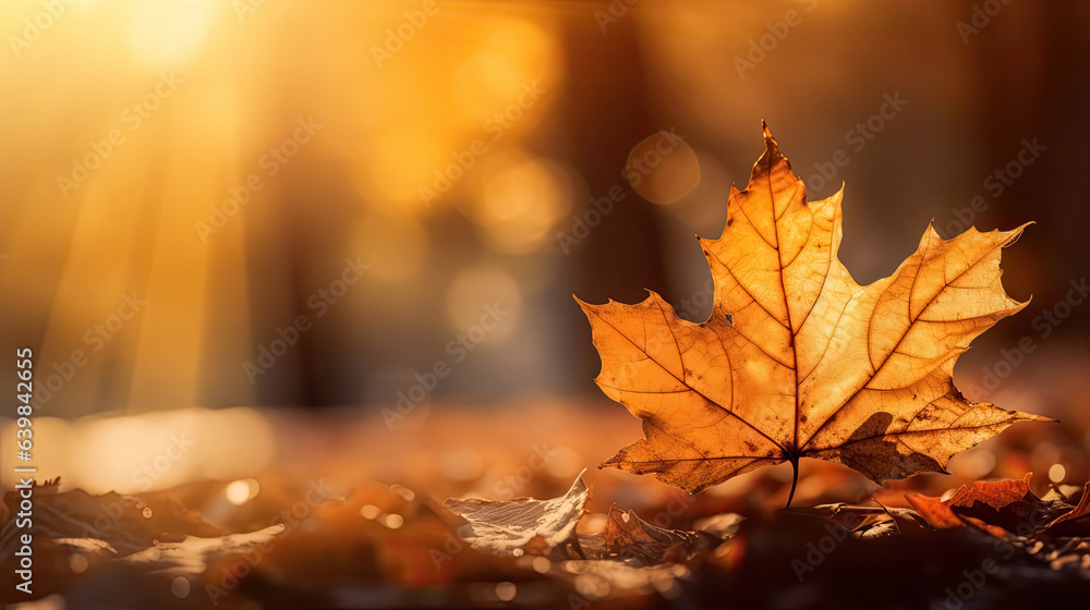 Autumn leaves on the sun and blurred trees for fall background. Generative Ai