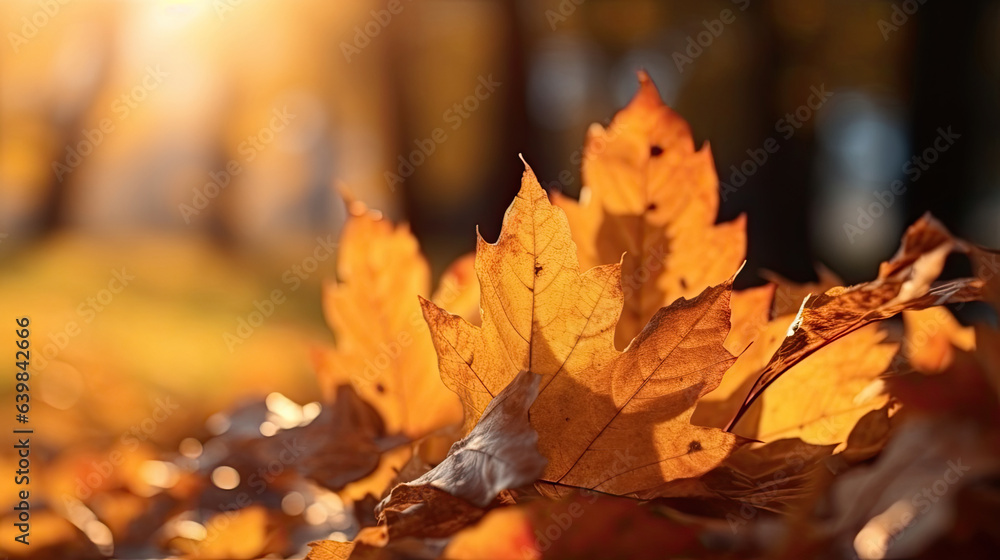 Autumn leaves on the sun and blurred trees for fall background. Generative Ai