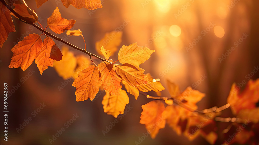 Autumn leaves on the sun and blurred trees for fall background. Generative Ai