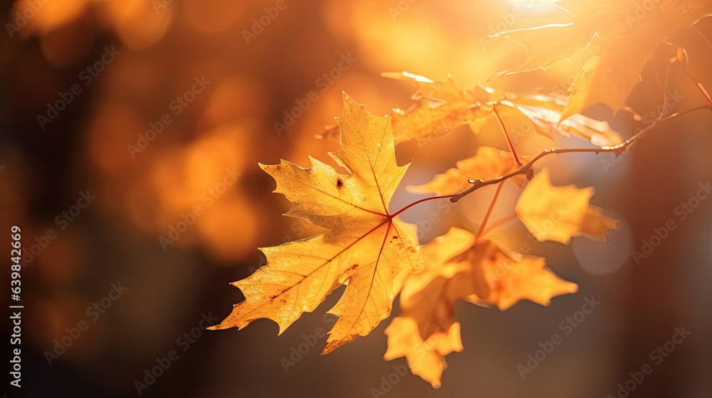 Autumn leaves on the sun and blurred trees for fall background. Generative Ai