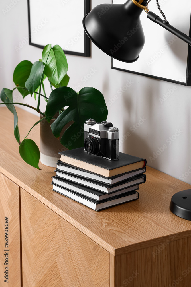 Houseplant with photo camera, books and lamp on table in room