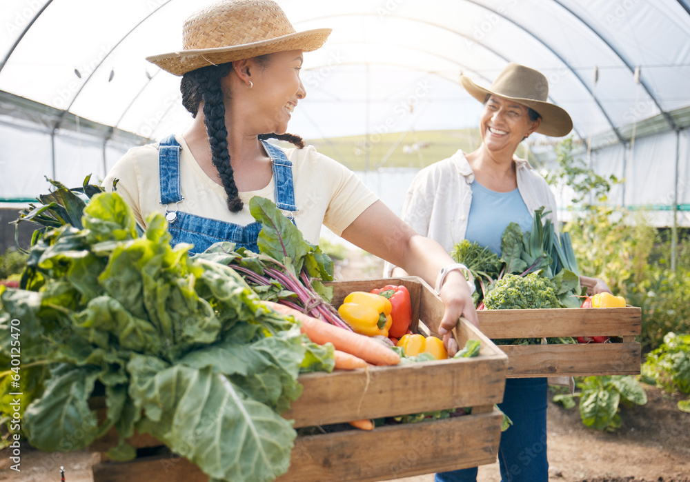 Teamwork, agriculture and vegetable farming in a greenhouse for harvest and sustainability. Farmer p