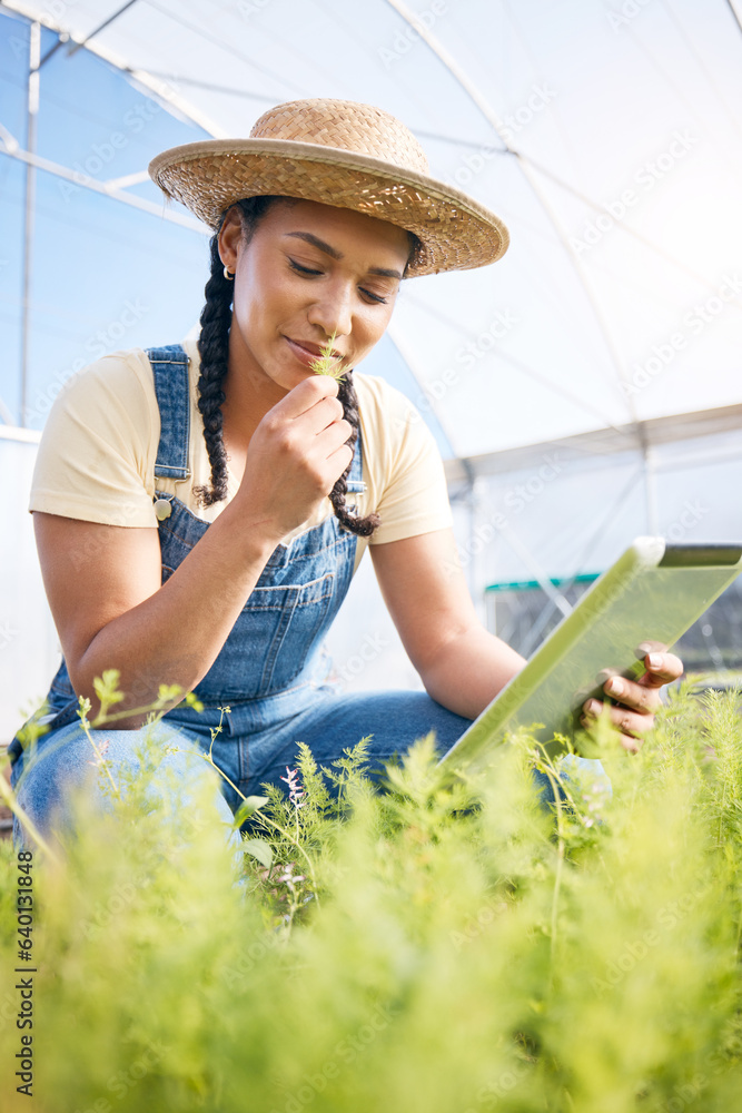 Woman, gardening and smell plants in greenhouse with tablet for agriculture, farming or sustainabili