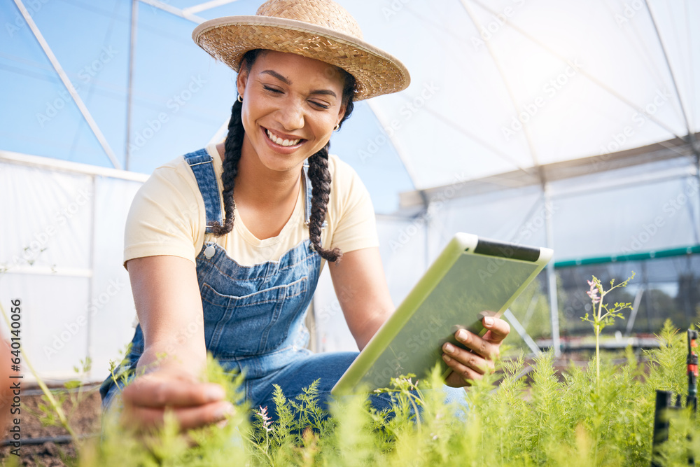 Woman, agriculture and tablet for gardening herbs, plants and check growth in greenhouse. Happy farm