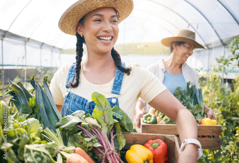 Farming, agriculture and women team with vegetables in a greenhouse for harvest and sustainability. 