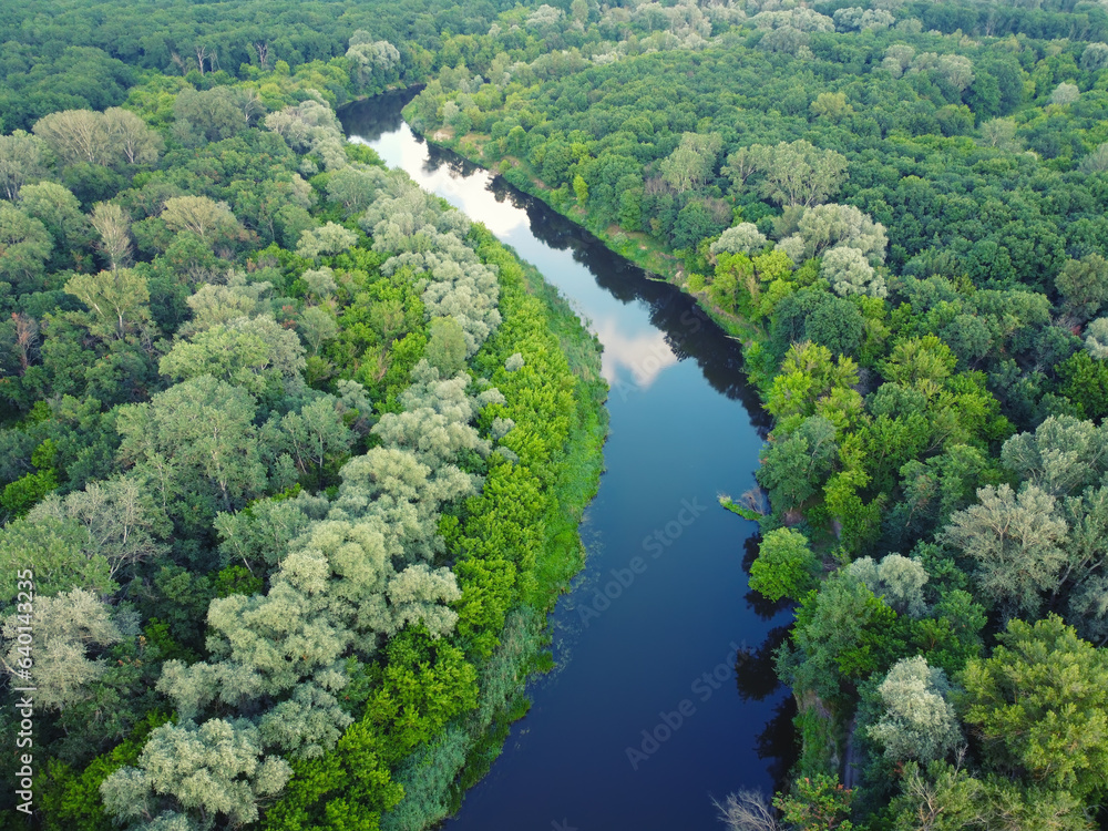 Aerial landscape with river and green forest