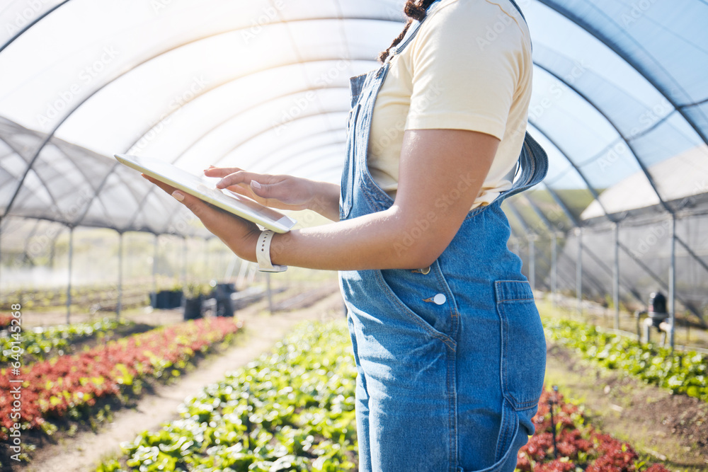 Hands, farming and agriculture with a tablet in a greenhouse for plants, innovation and sustainabili