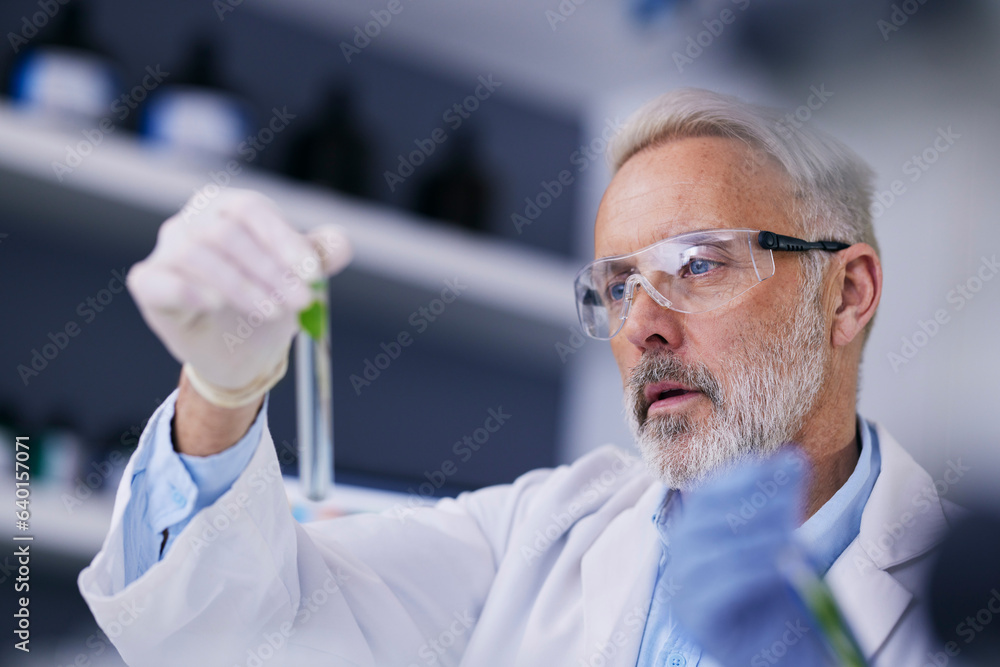 Scientist, senior man and plant with test tube and sustainability research for agriculture in a labo