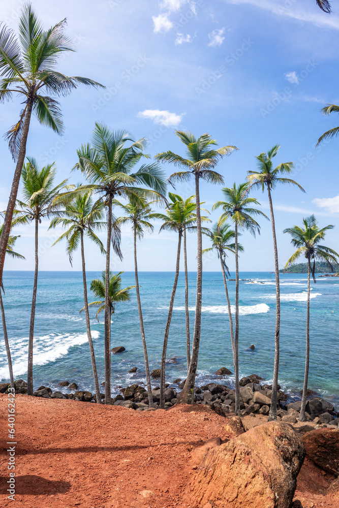 Famous Coconut Tree Hill in Mirissa, Sri Lanka Beach next to the Indian Ocean