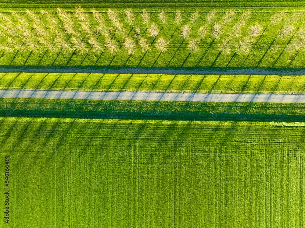 Aerial view of the field, trees and road. Landscape from a drone. Light and shadow. Natural backgrou