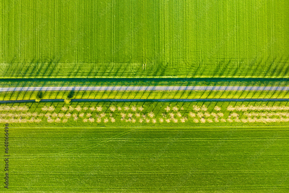 Aerial view of the field, trees and road. Landscape from a drone. Light and shadow. Natural backgrou