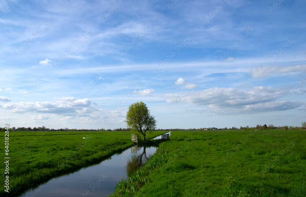 Landscape green meadow and canal with clear water