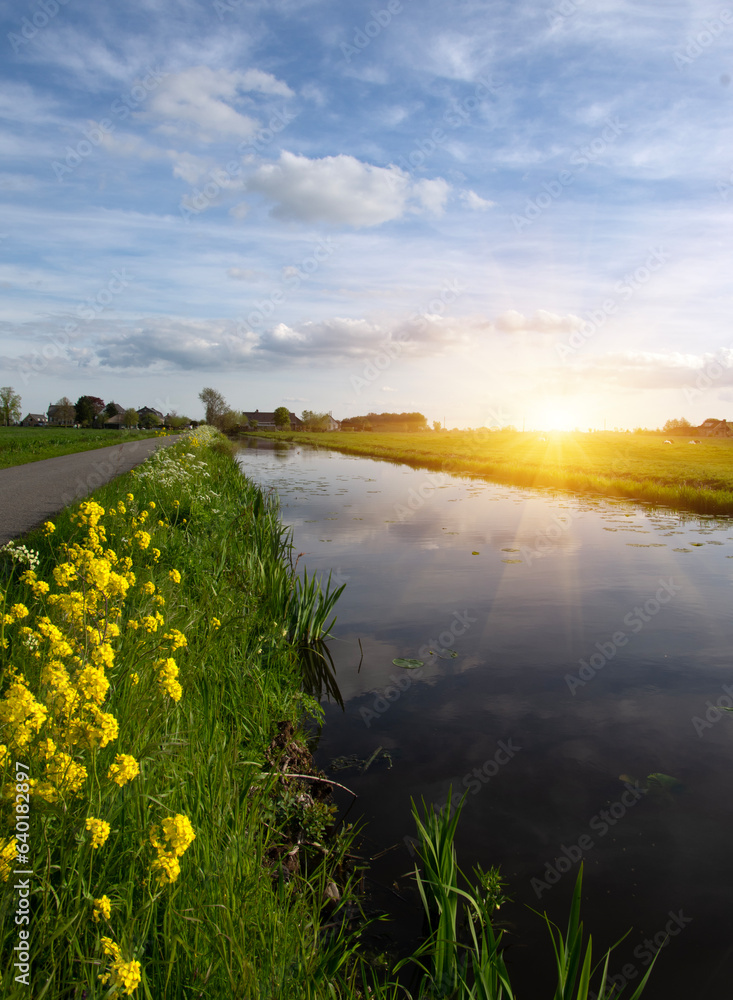 Landscape green meadow and canal with clear water