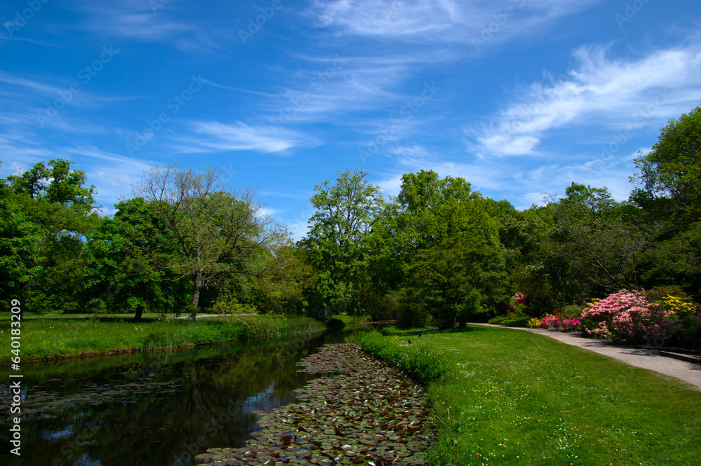 Lake in city park