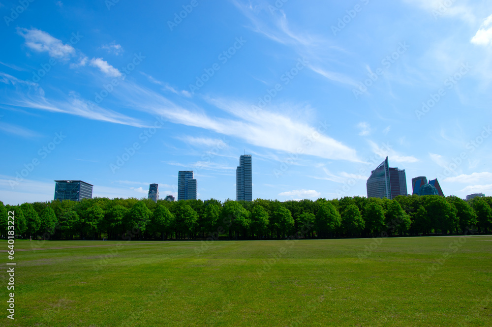 City park on blue sky background