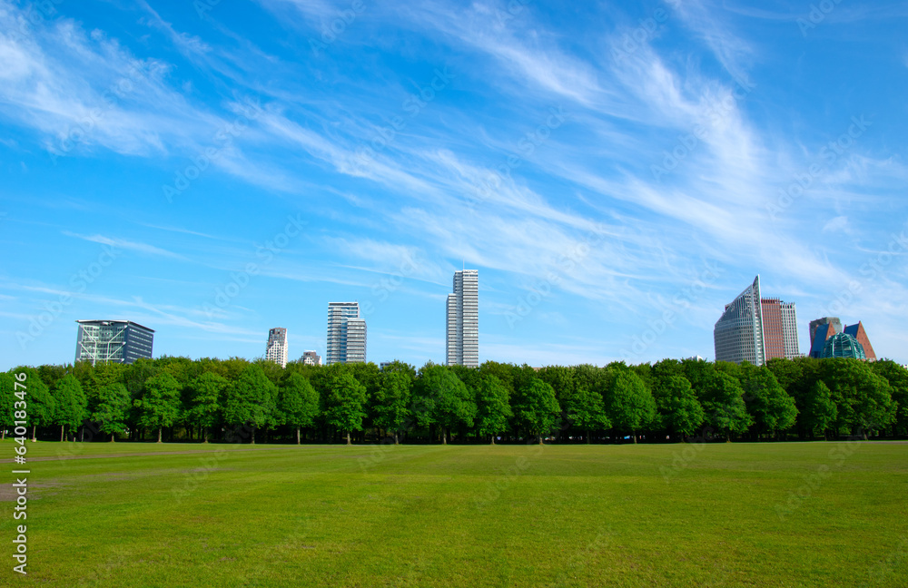 City park on blue sky background