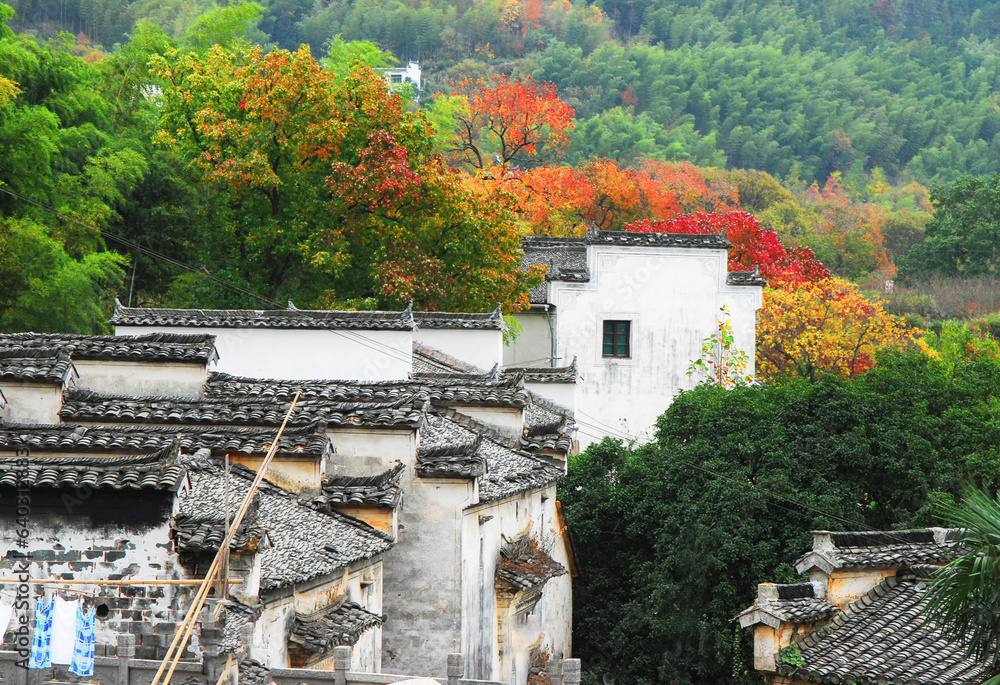 Asian countryside in autumn, red leaves and white houses