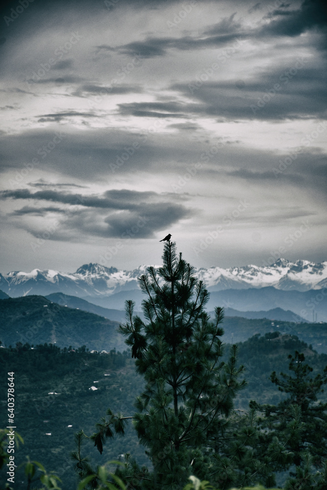 clouds and the mountains!