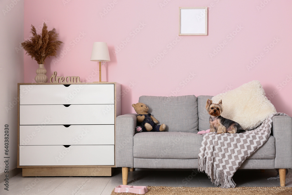 Cute small Yorkshire terrier dog sitting on sofa in room