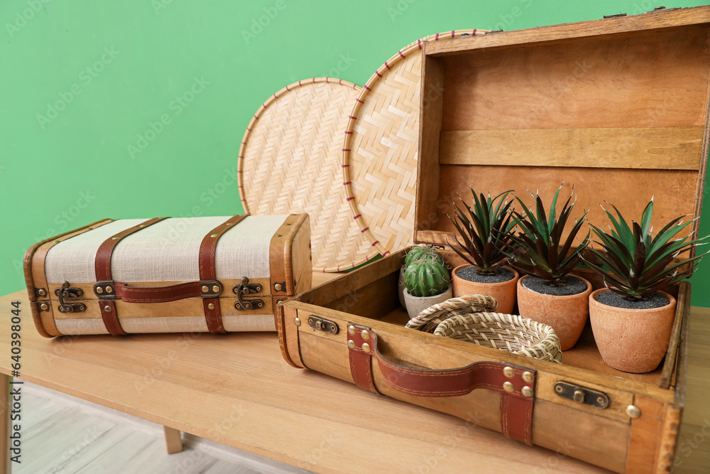 Suitcase with houseplants on wooden shelf near green wall