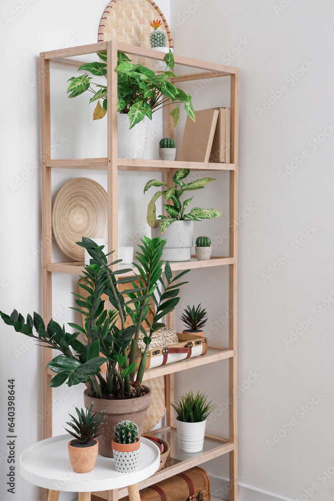 Shelving unit with decor and houseplants near white wall