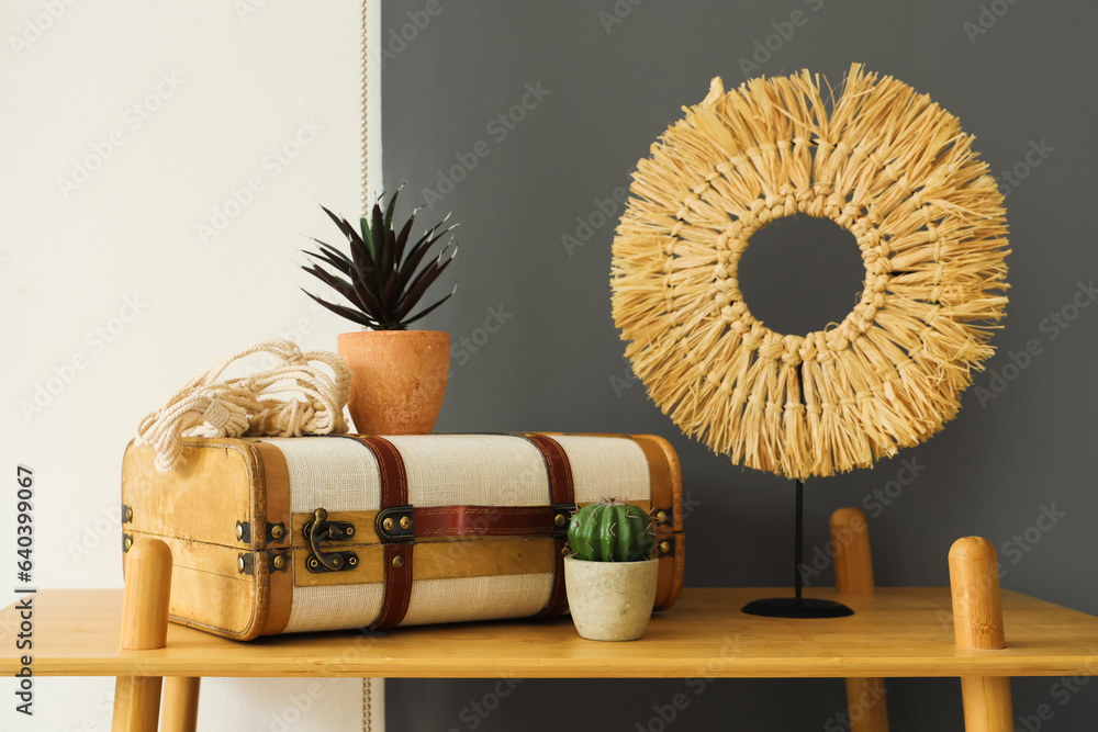 Suitcase, houseplants and decor on wooden shelf in living room, closeup