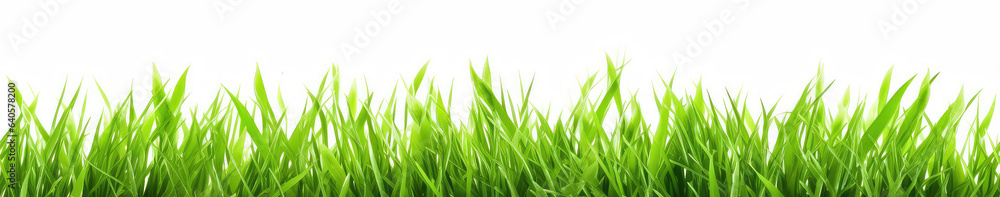 Seamless image of fresh green grass