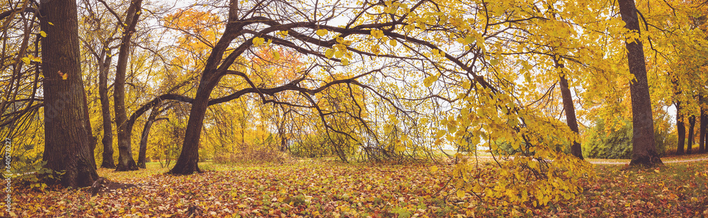 Autumnal colourful view of the natural park.